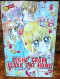 Image of Light From Black Cat Home